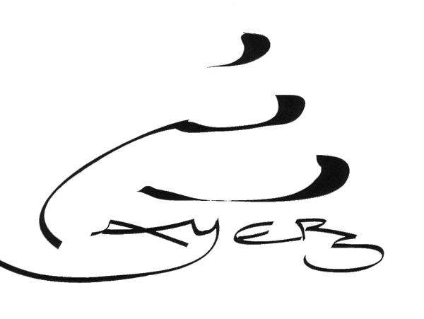 Layers Sensational Cakes logo